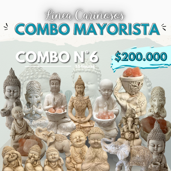 Producto - COMBO MAYORISTA 6: Línea Cariñosos