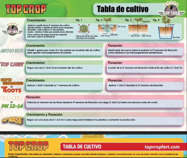 Producto - Top Crop Green Explosion - 2