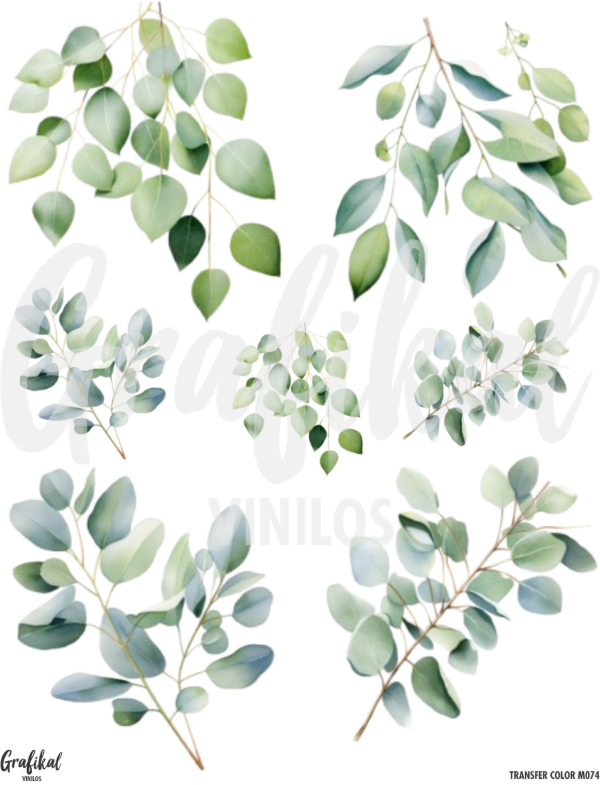 Producto - TransferColor 20x25 074