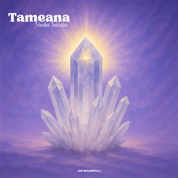 Producto - TAMEANA FORMACIÓN INICIAL