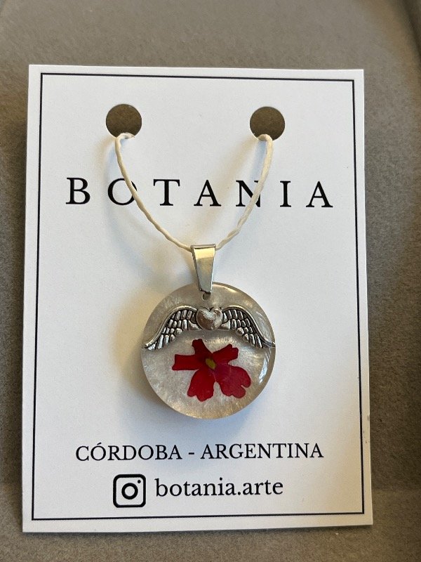 Producto - Variedad 29 verbena - 0