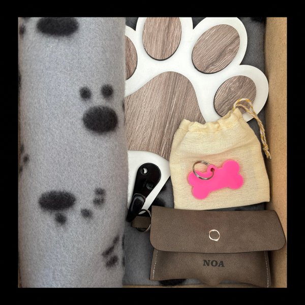 Producto - Box Puppy