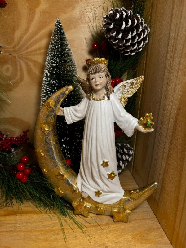 Producto - Angel en Luna (Efectivo: 37.200)