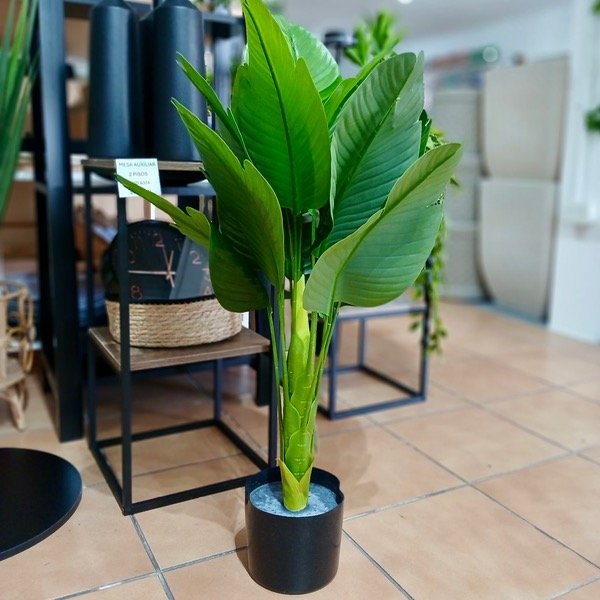 Producto - Planta Con Maceta 75 Cm 413666
