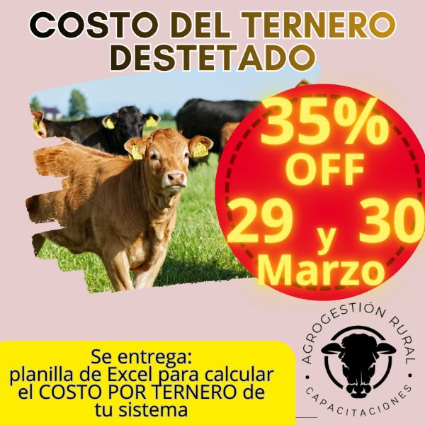 Producto - Taller Online: Costo del Ternero