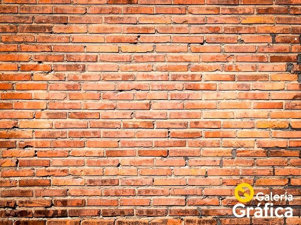 Producto - Pared Ladrillos FS 11