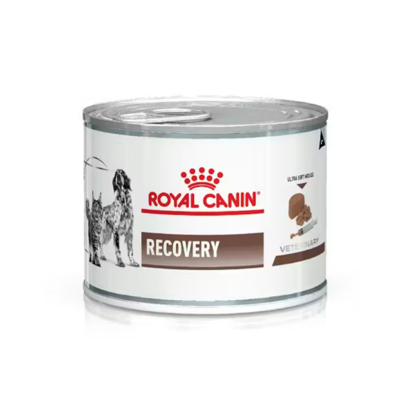 Producto - Lata Royal Canin Recovery x 195 gr
