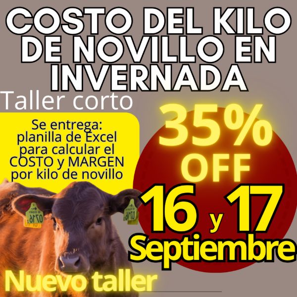 Producto - Taller corto: cálculo del costo del kilo de novillo - 0