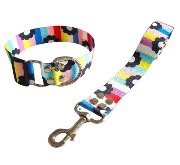 Producto - Collar y Correa FLORES MULTICOLOR PASTEL