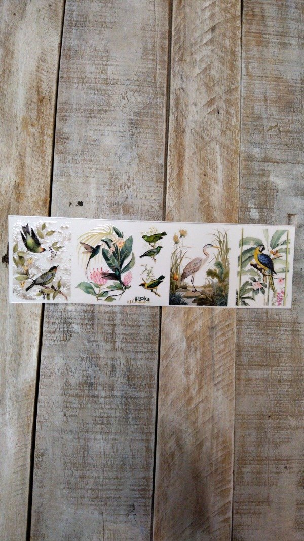 Producto - UV Tiras 8x28cm Botánico #1