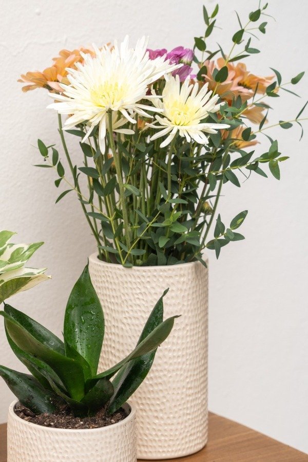 Producto - Florero Cili