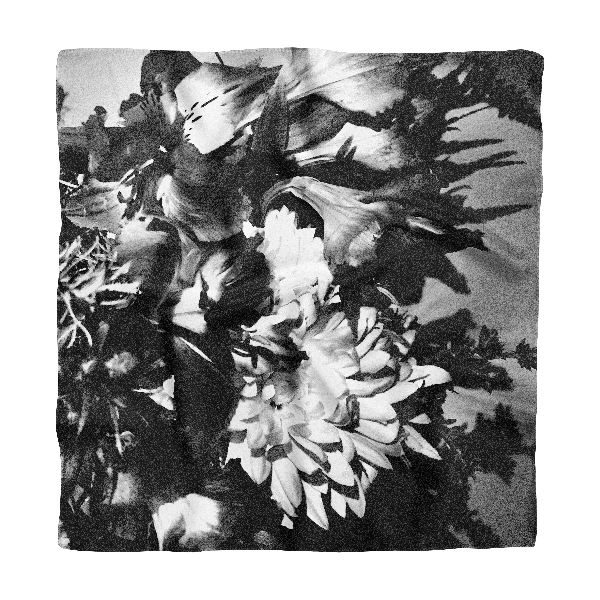 Producto - Pañuelo Ramo - 65x65 cm