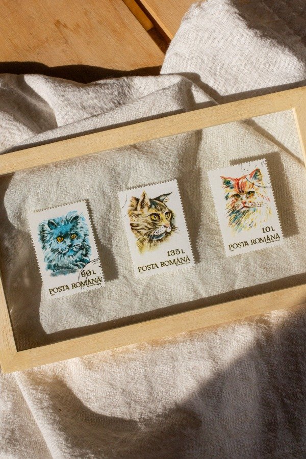 Producto - Estampillas Gatitos II