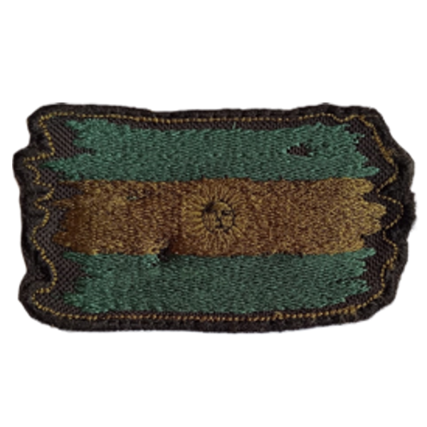 Producto - Parche Bordado Bandera Argentina Gastada Verde