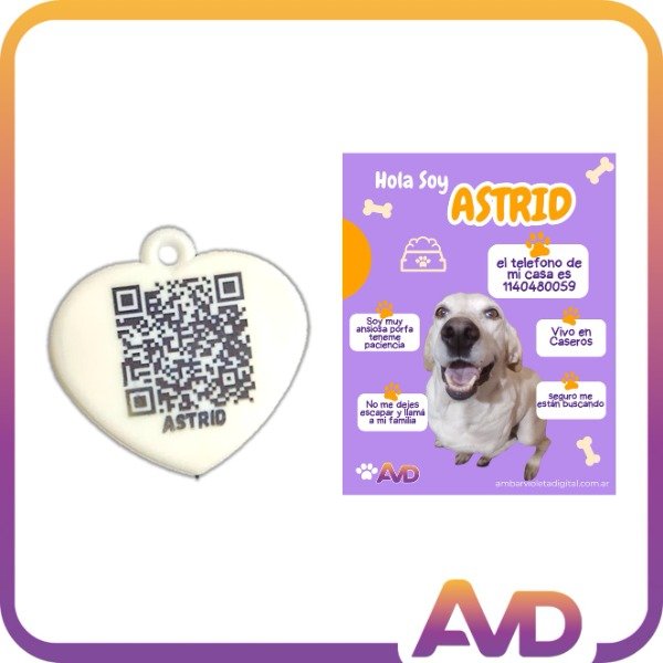 Producto - Identificadores de mascota con QR
