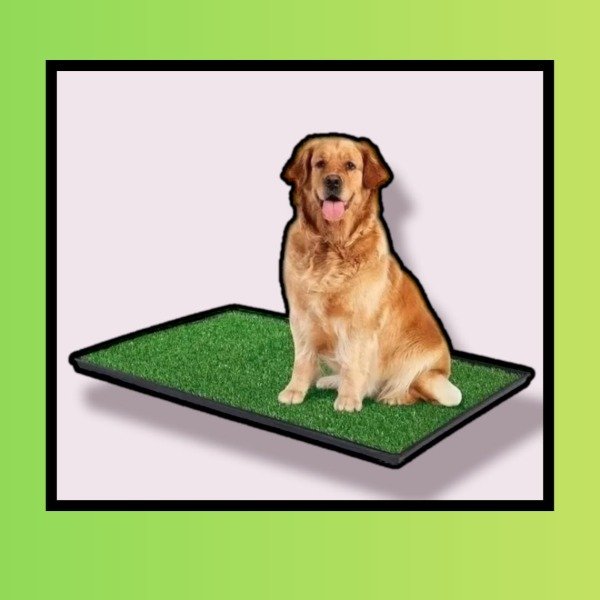 Producto - Césped sanitario para departamento o espacios sin patio.