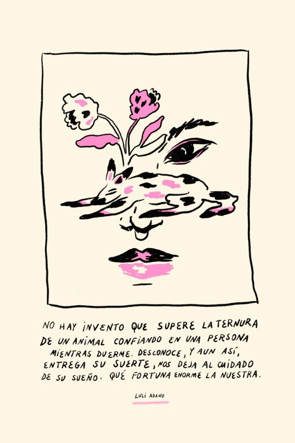 Producto - Postal Fortuna
