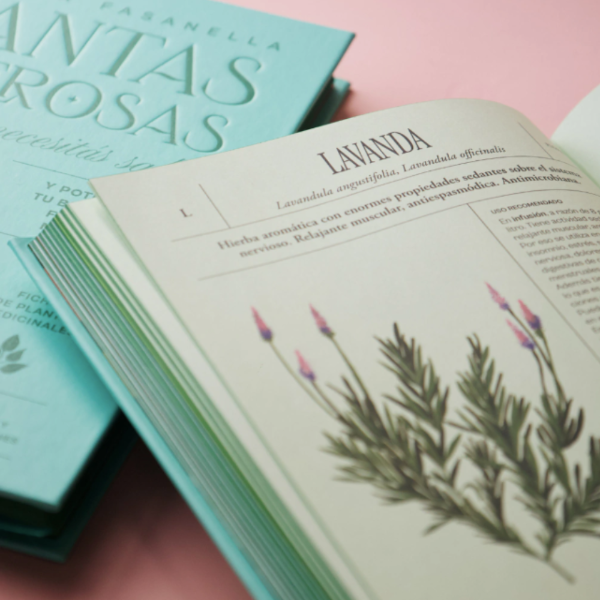 Miniatura de producto - 8