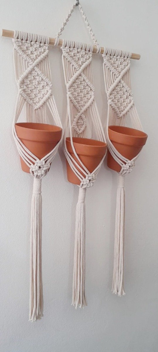Producto - BOSQUE
