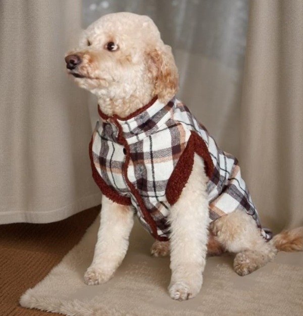 Producto - Chaleco Shelter