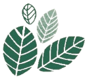 armoniatiendadeplantas.com favicon