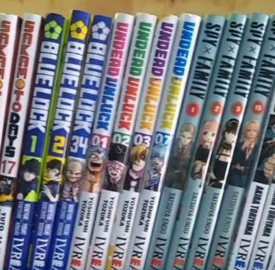 Producto - Mangas de IVREA