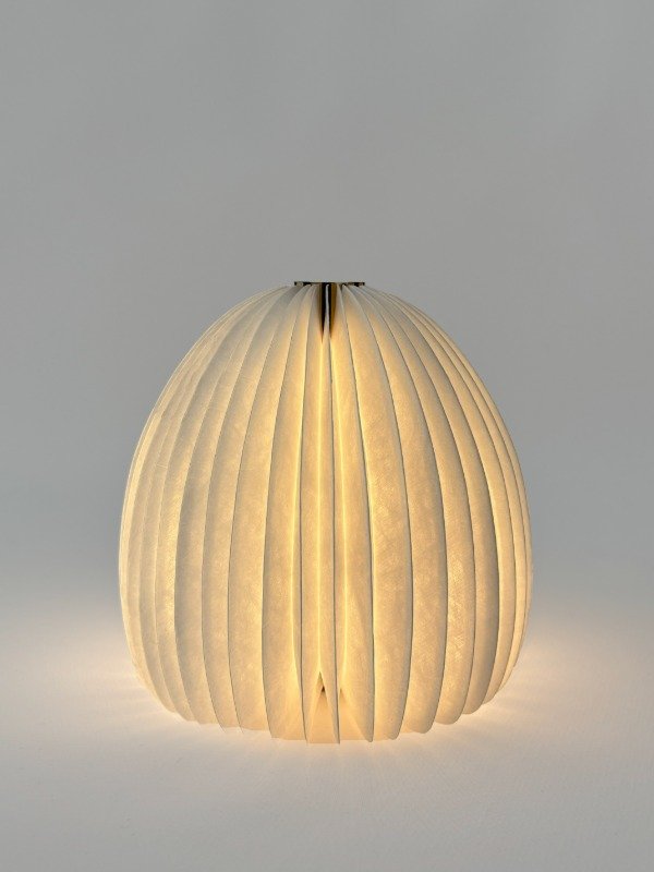 Producto - Ovo Lamp