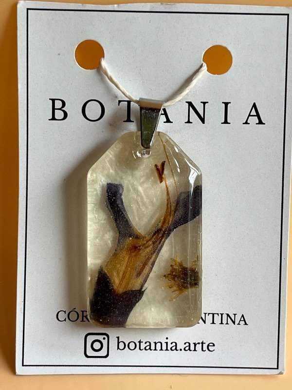 Producto - Variedad 4 salvia