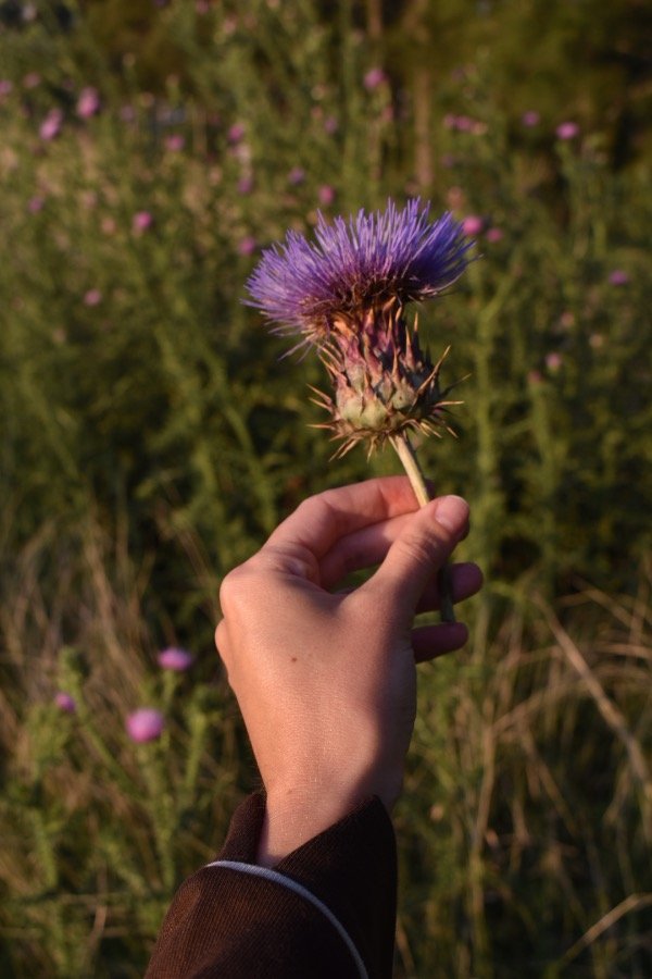 Miniatura de producto - 9