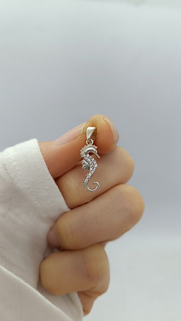 Producto - Caballito de Mar