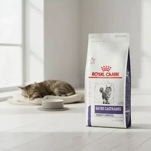 Producto - ROYAL CANIN GATOS CASTRADOS WEIGHT CONTROL X 3 KG