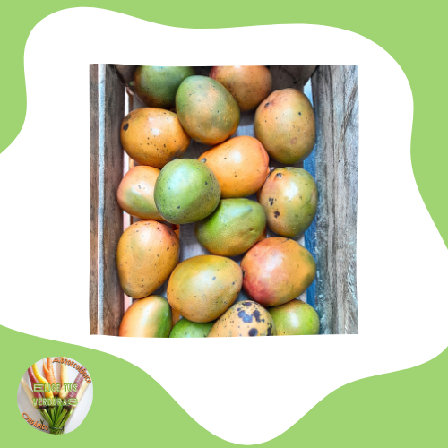 Producto - Mango Osteen - 1 unidad