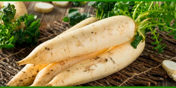 Producto - Nabo Daikon agroecológico x 250 gr