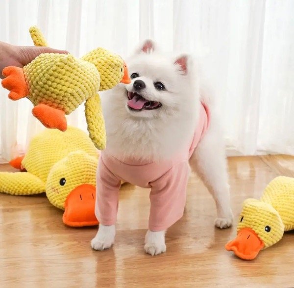 Producto - Peluche pato