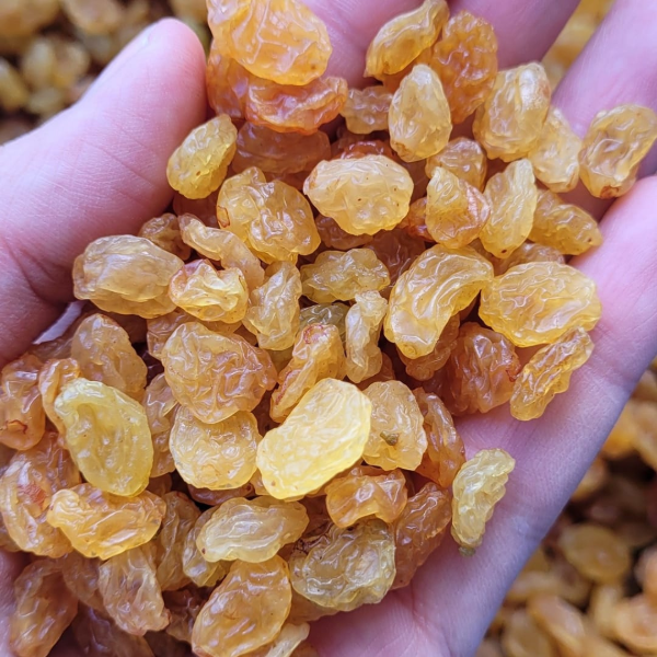 Producto - Pasas de Uva Rubias Sultanina sin Semillas Premium