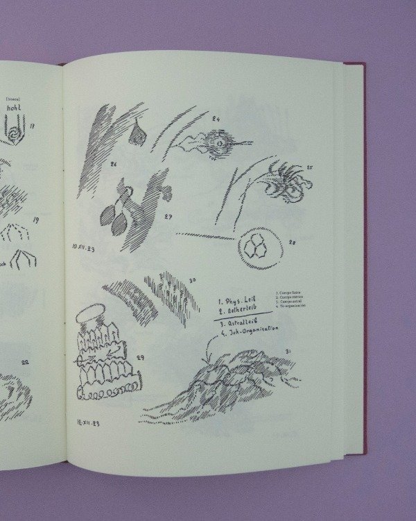 Producto - RUDOLF STEINER Y JOSEPH BEUYS, ABEJAS - BUCH WALD EDITORIAL - 3