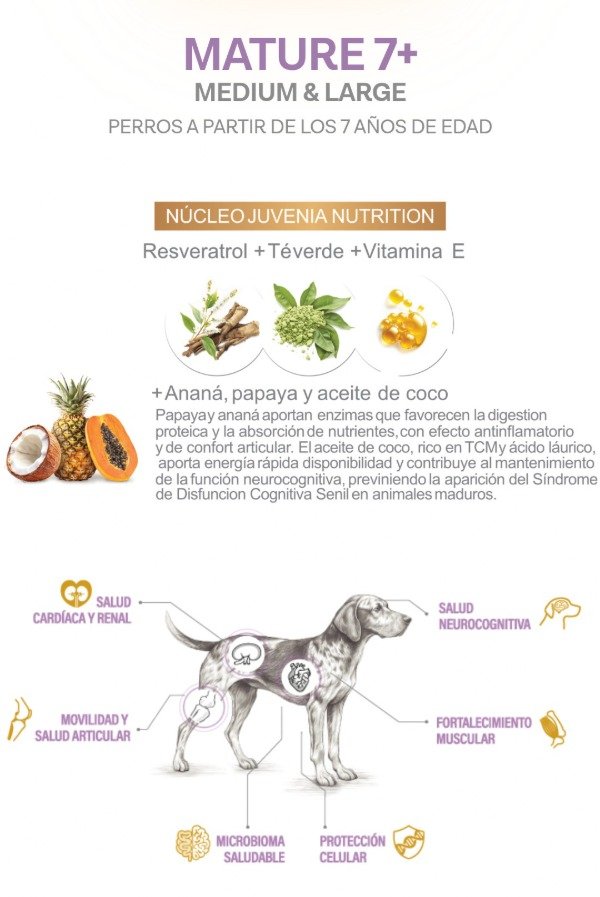 Producto - Juvenia Perro Senior Raza Mediana y Grande - 1