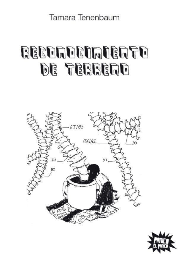 Producto - Reconocimiento de terreno - Tamara Tenembaum