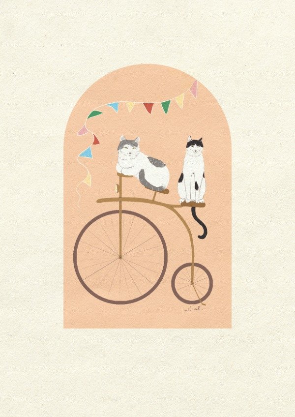 Producto - Bici - Amichis