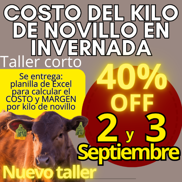 Producto - Taller corto: cálculo del costo del kilo de novillo - 0