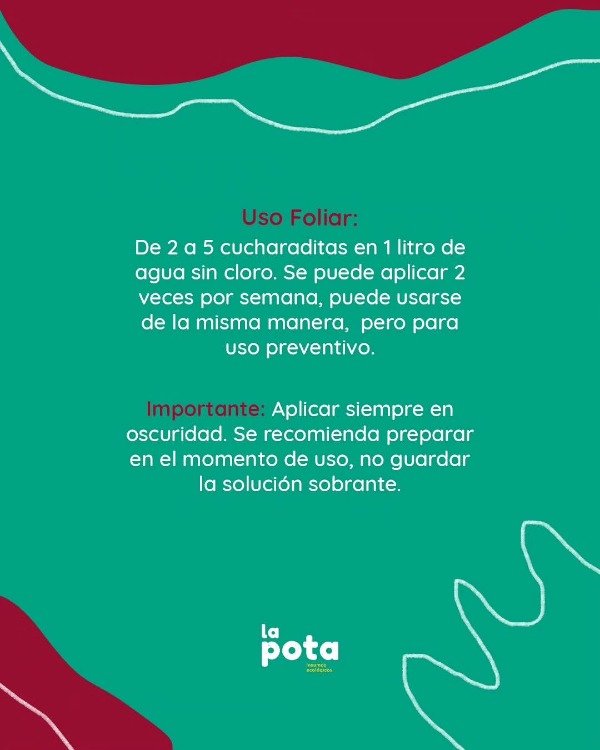 Producto - Bioinsecticida Beauveria Bassiana La Pota x 20 gramos - 5
