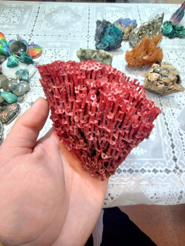 Producto - CORAL ROJO GRANDE