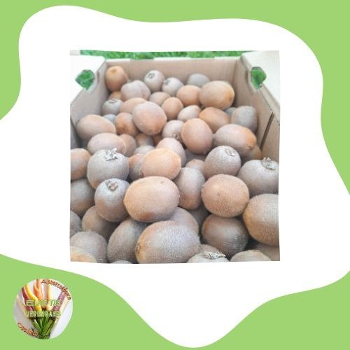 Producto - Kiwis - 500gr