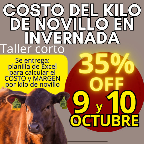 Producto - Taller corto: cálculo del costo del kilo de novillo - 0
