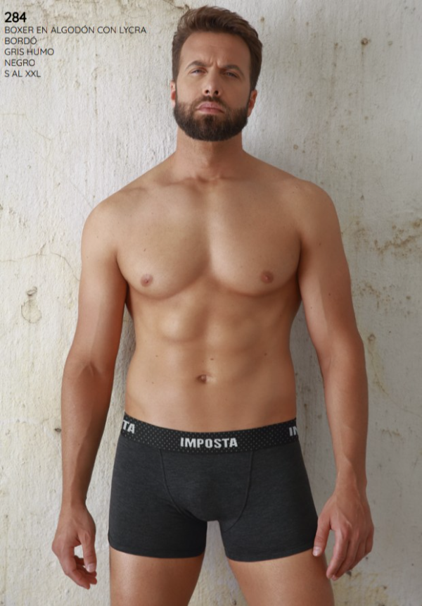 Producto - IMPOSTA 284