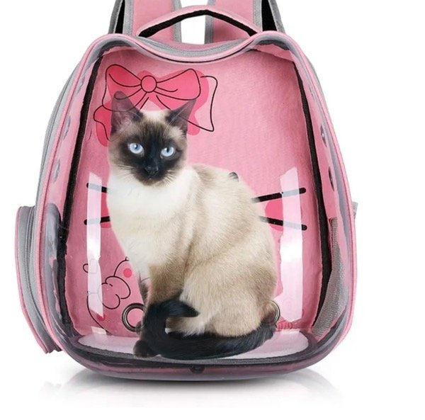 Producto - Mochila transportadora espacial