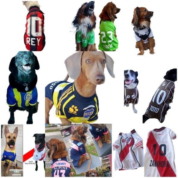Producto - Camiseta para Perros Grandes a medida y personalizada.