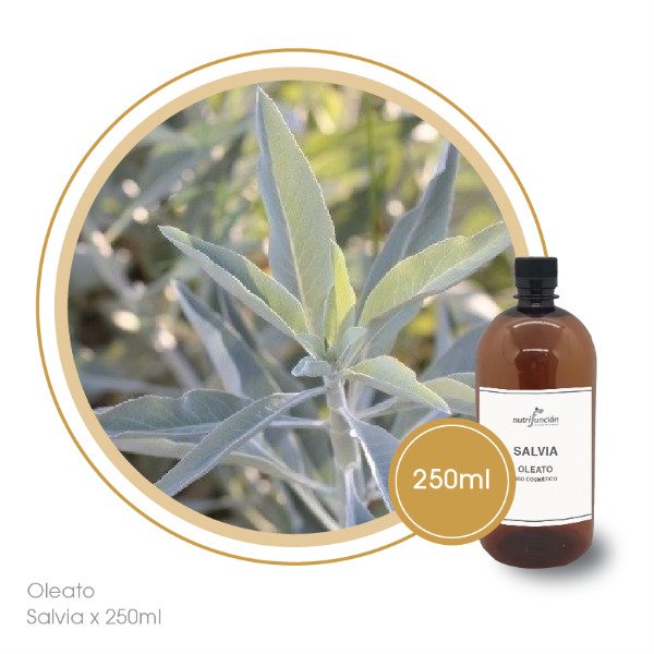 Producto - Oleato de Salvia x 250 ml