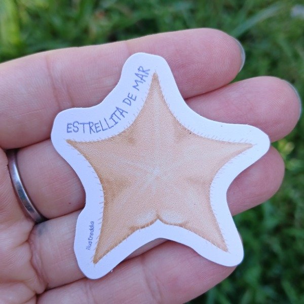 Producto - Sticker - Estrellita de Mar