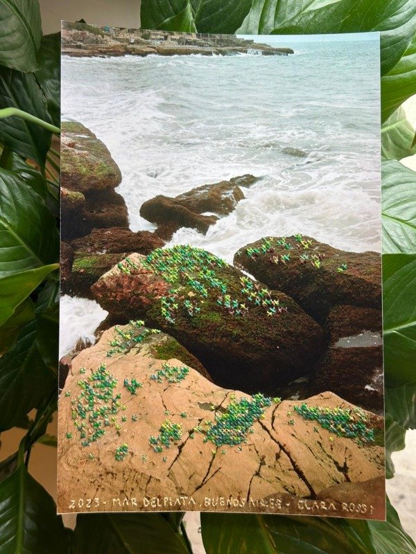 Producto - FOTOBORDADO MUSGO